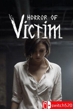 《受害者的恐怖》游戏封面