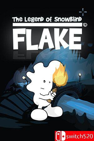 《雪盲传说：弗莱克》游戏封面