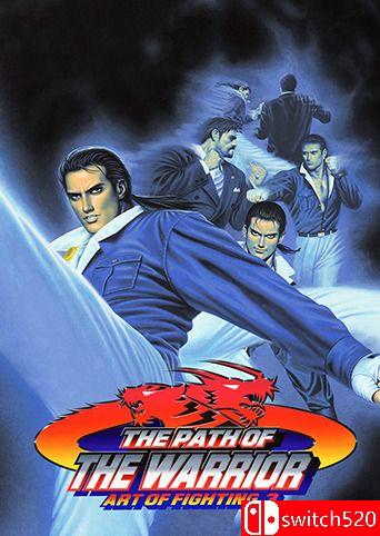 《格斗艺术3：战士之路》游戏封面