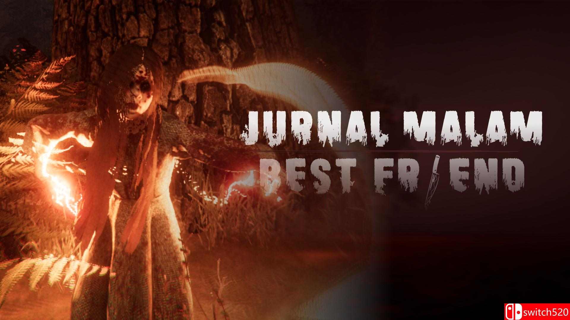 《夜间日记：挚友》游戏封面