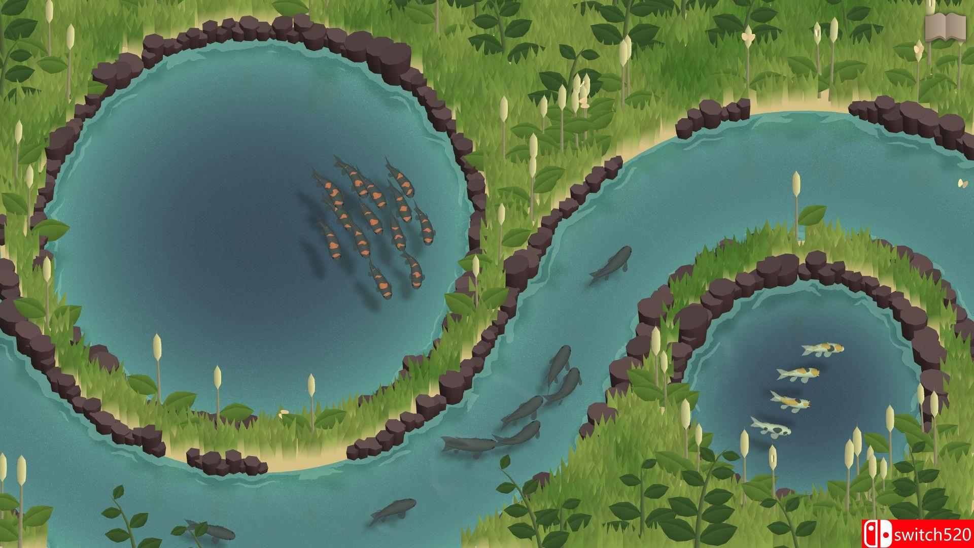 《锦鲤养殖场（Koi Farm）》官方中文 Build 14201644 P2P硬盘版[CN/EN/JP]_3