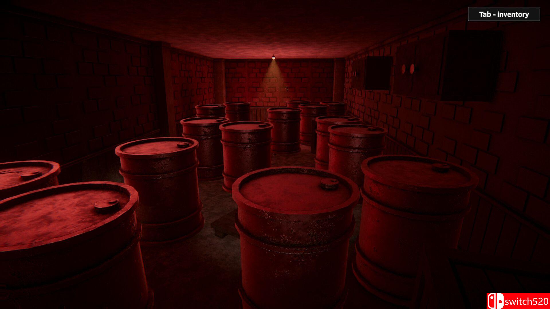 《恐怖内部（The horrible inside）》TENOKE镜像版[EN]_5