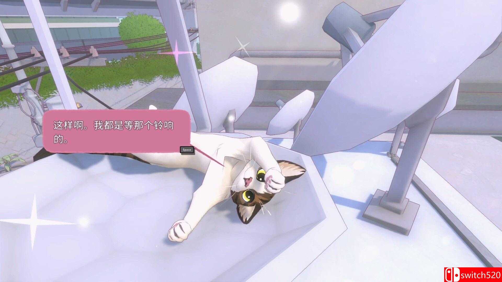 《小猫咪大城市》游戏截图2