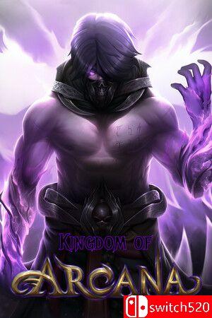 《奥术王国》游戏封面