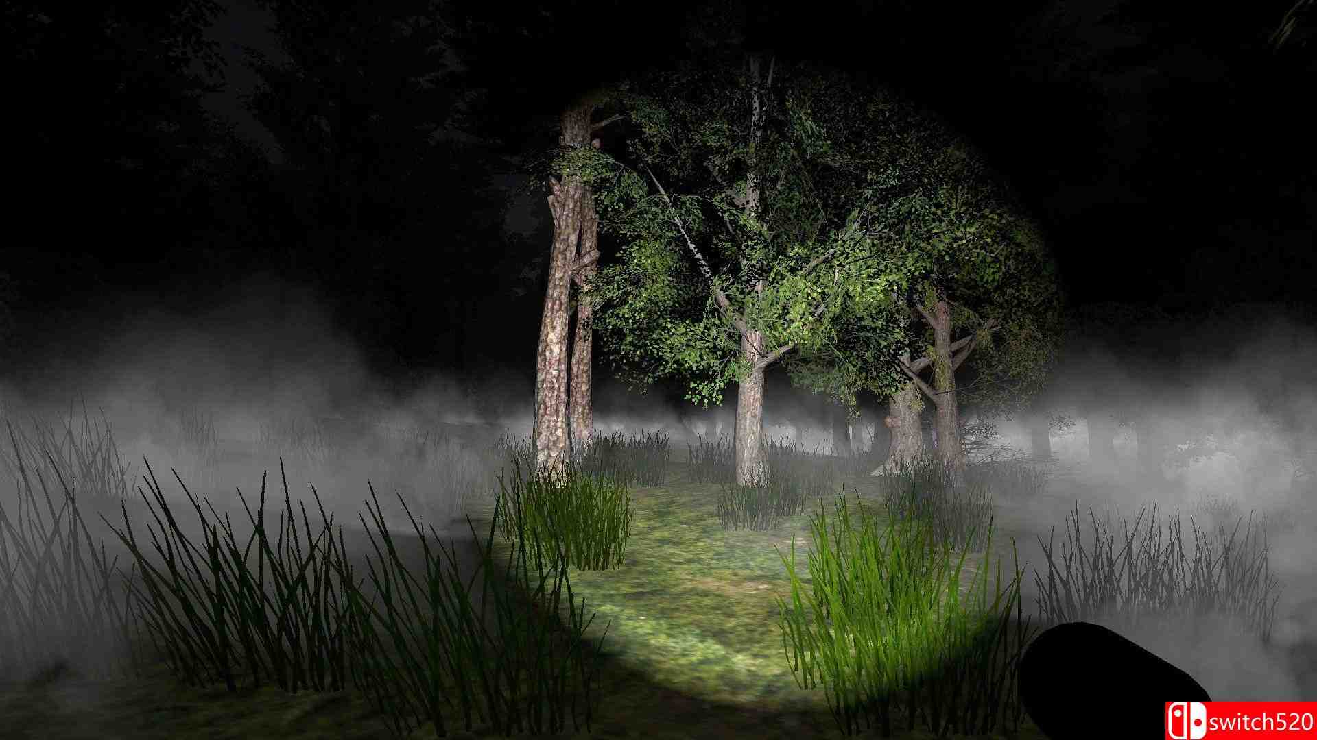 《户外模拟器（Go Outside Simulator）》TENOKE镜像版[EN]_2