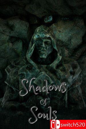 游戏《灵魂的阴影（Shadows of Souls）》封面图