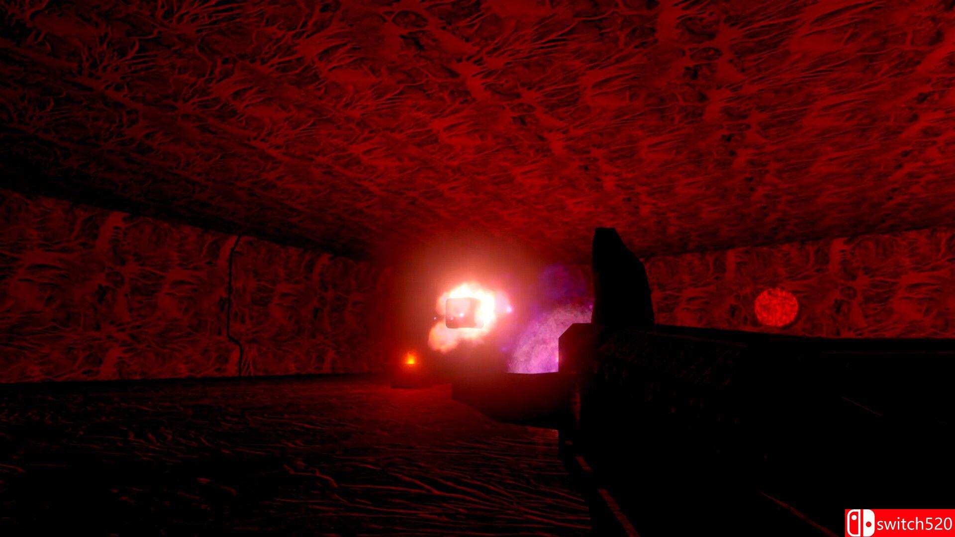 《靛蓝平行》游戏截图5