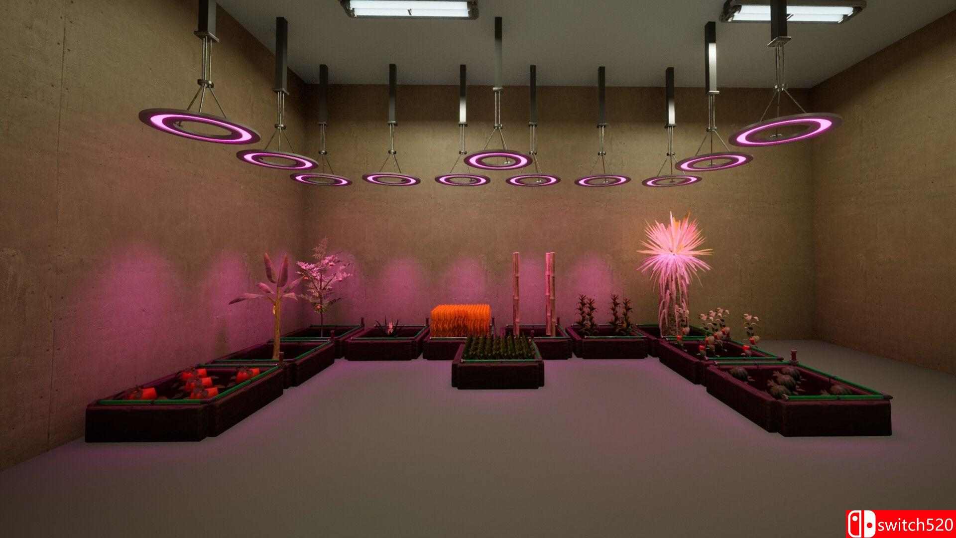 《中心站模拟器（Center Station Simulator）》Early Access P2P硬盘版[EN]_4