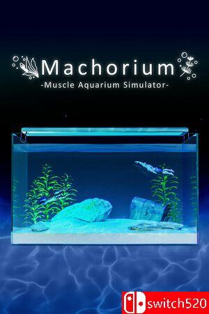 《壮士水族馆 -肌肉水族馆模拟器-》游戏封面