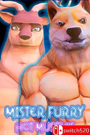《毛茸茸的先生: 火辣肌肉》游戏封面