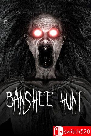 《女妖狩猎（Banshee Hunt）》官方中文 bADkARMA硬盘版封面图