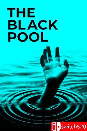 《黑色池塘（The Black Pool）》官方中文 TENOKE镜像版封面图