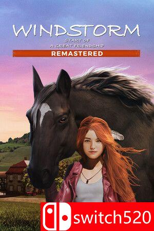 《风暴：深厚友谊的开始 重制版》游戏封面