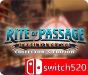 《通道仪式：余烬湖的拥抱》典藏版封面图