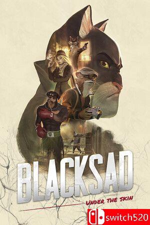 《黑猫侦探：深入本质》游戏封面