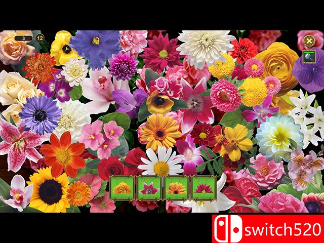 《荣耀花园（Garden for Glory）》典藏版 RAZOR硬盘版[EN]_2