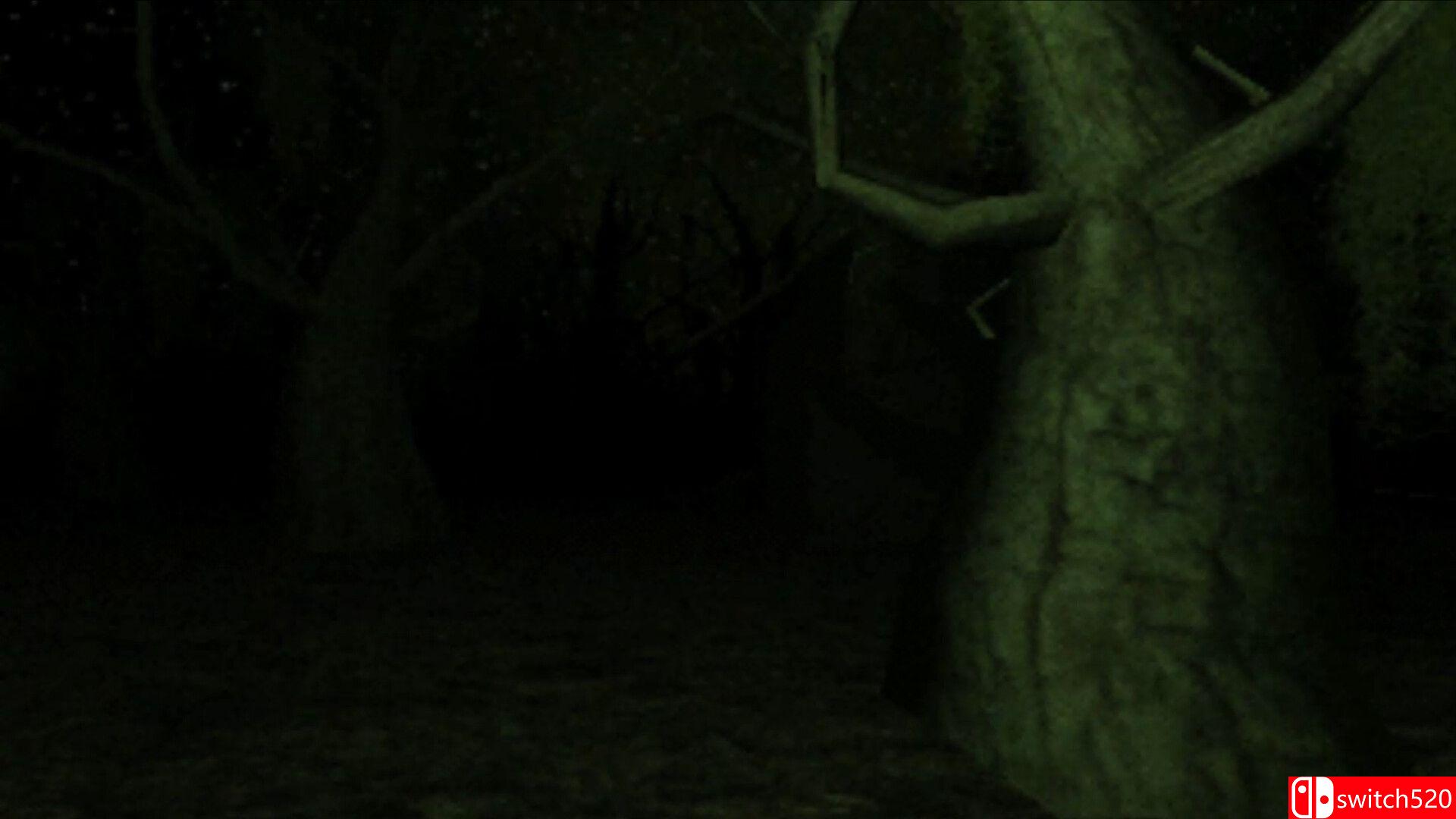 《肉豆蔻》游戏截图2