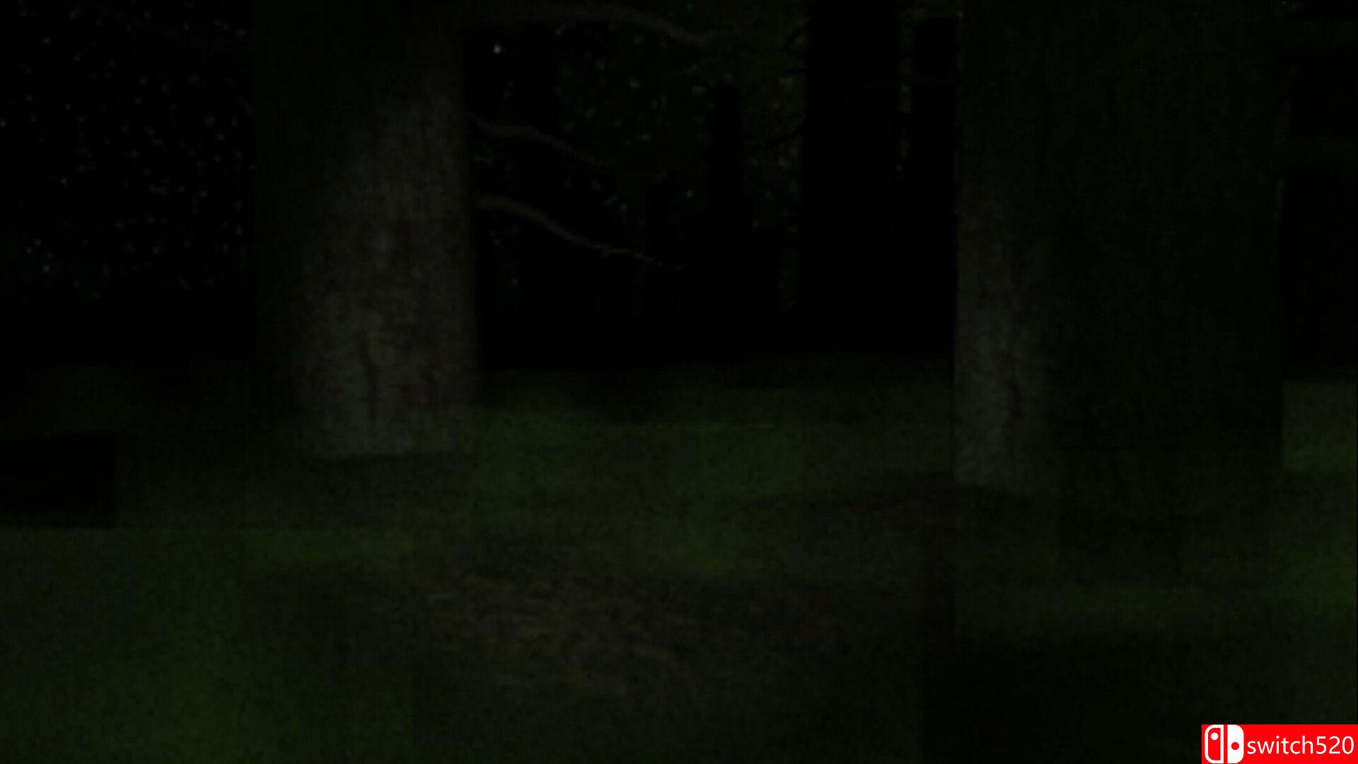 《肉豆蔻》游戏截图5