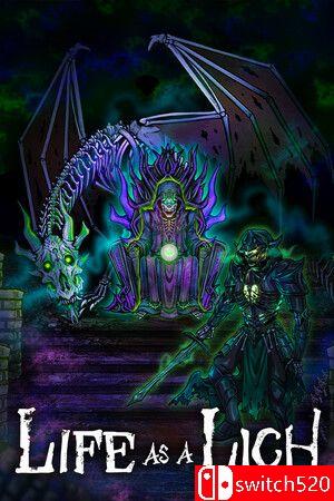 《死灵巫师人生（Life as a Lich）》游戏封面