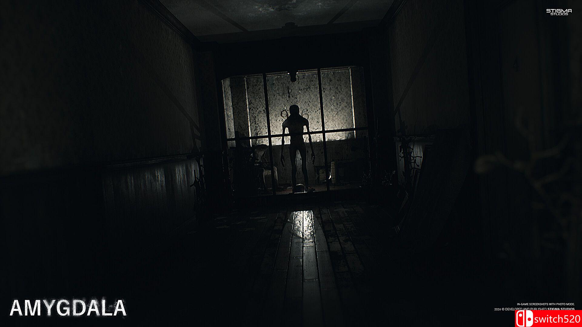 《杏仁核（Amygdala）》集成增强升级 SKIDROW镜像版[EN]_5