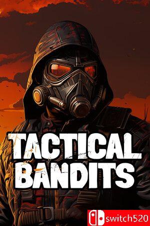 《后末日侠盗（TACTICAL BANDITS）》官方中文 SKIDROW镜像版封面图