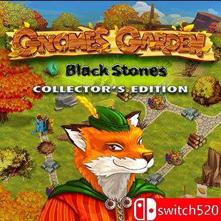 《侏儒花园10：黑石（Gnomes Garden 10 - Blackstone）》典藏版 RAZOR硬盘版[EN]