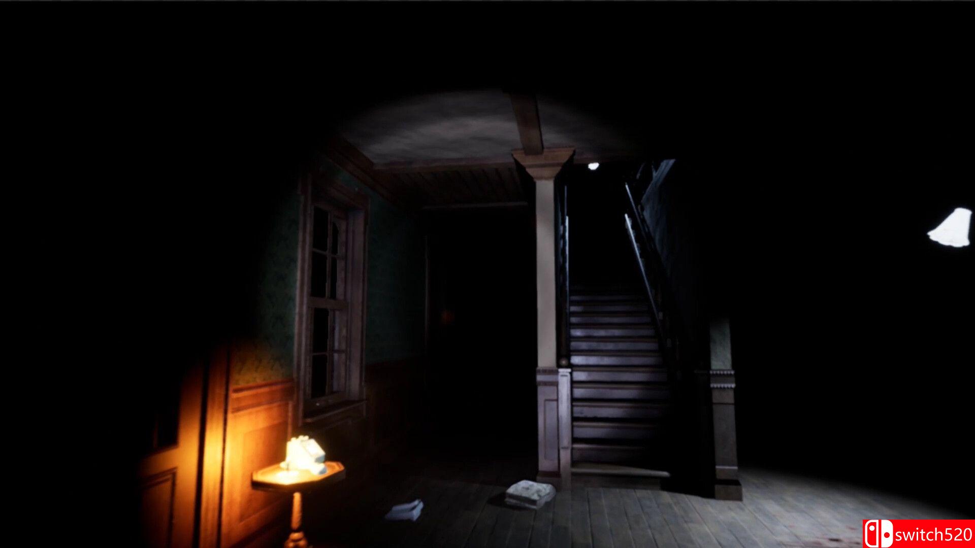 《恐惧黑影》游戏截图2