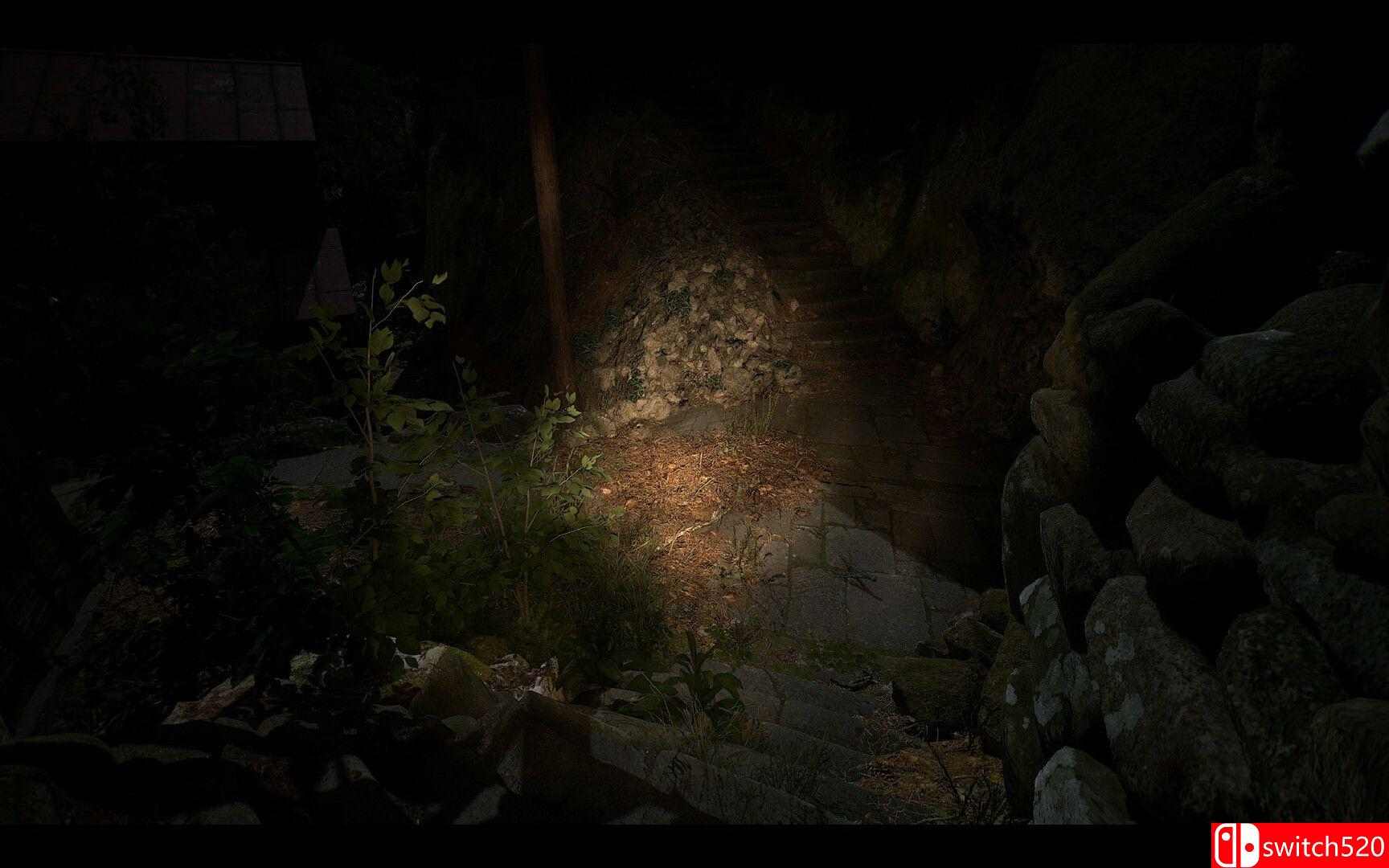 《鸣蟇村（NARIBIKIMURA）》TENOKE镜像版[EN/JP]_5