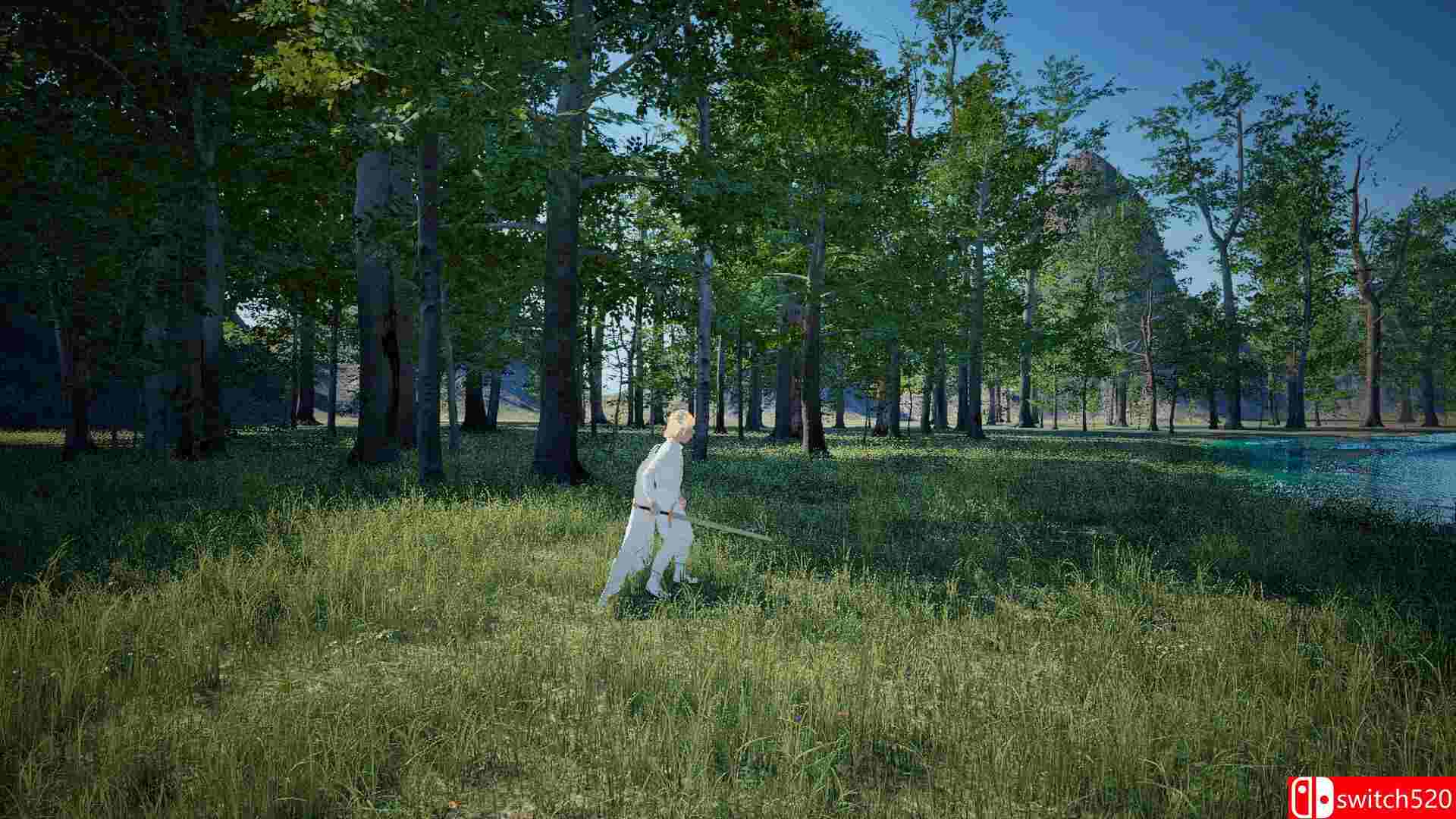 《扎克希利亚城堡》截图1