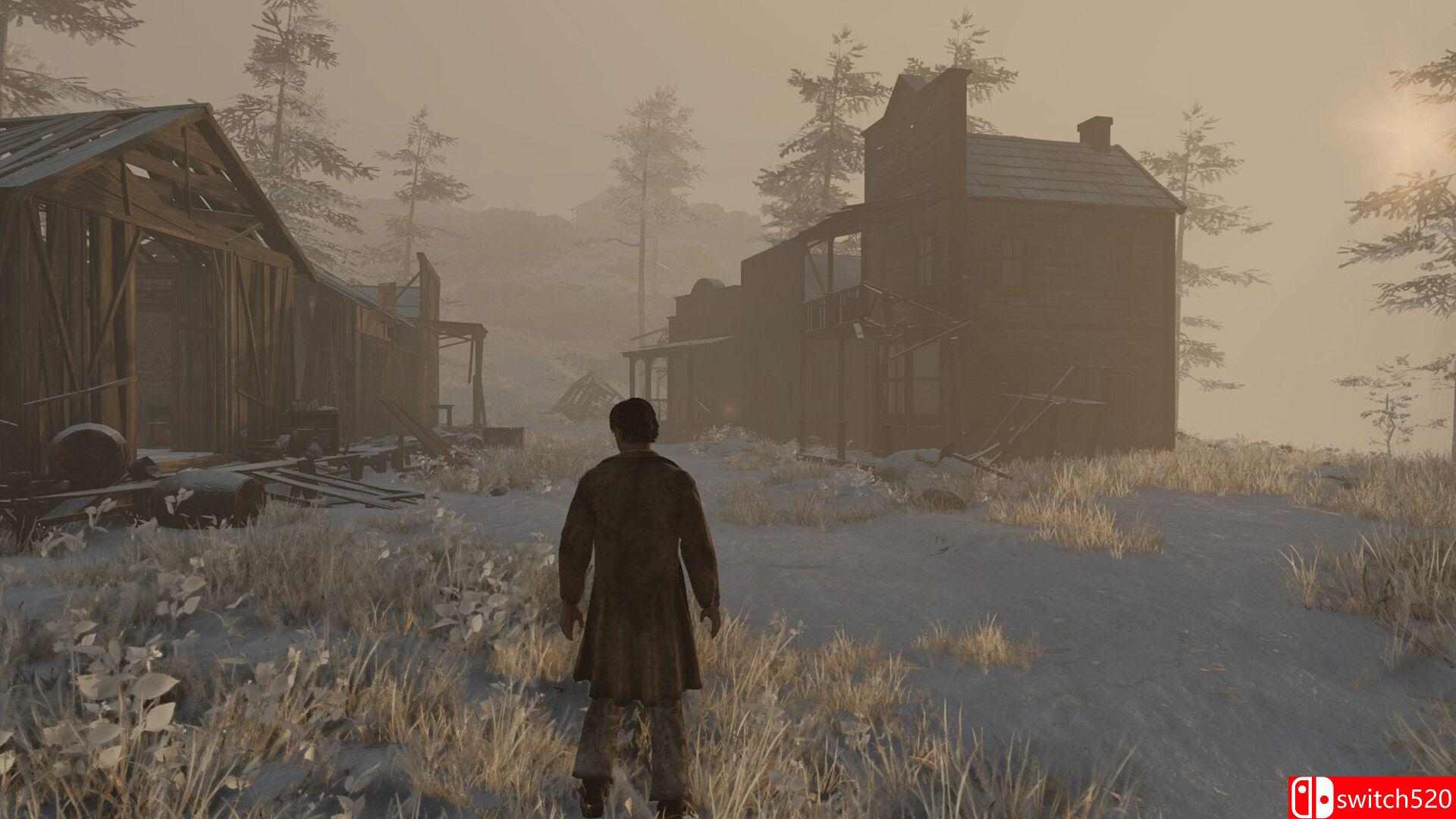 《狂野西部时代》游戏截图2