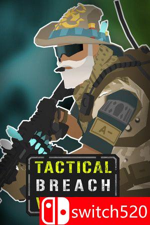 《战术突破巫师（Tactical Breach Wizards）》游戏封面