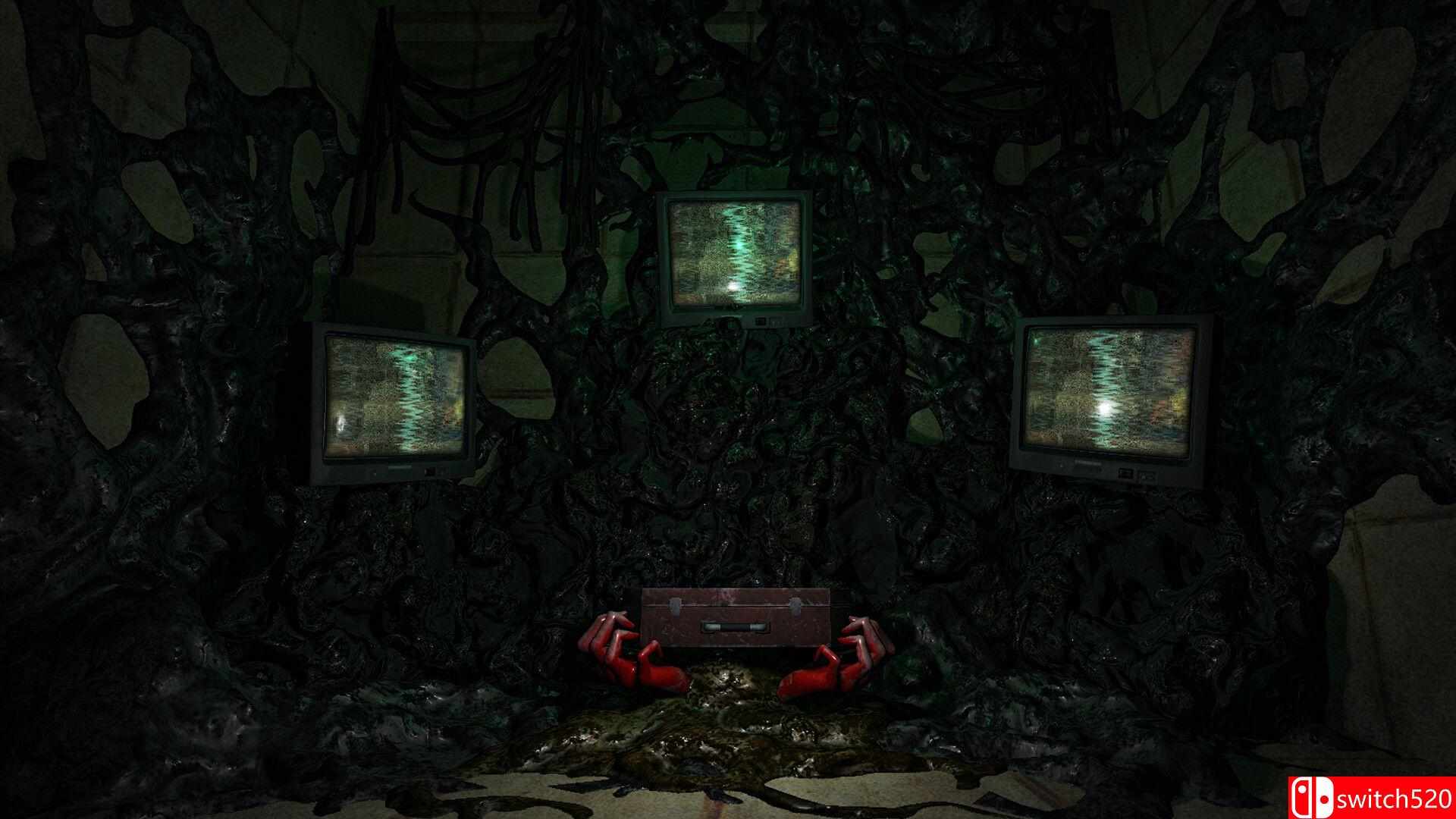 《偏执之地（PARANOIA PLACE）》v0.47 0xdeadcode硬盘版[EN]_1