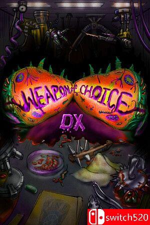 《选择武器DX》游戏封面