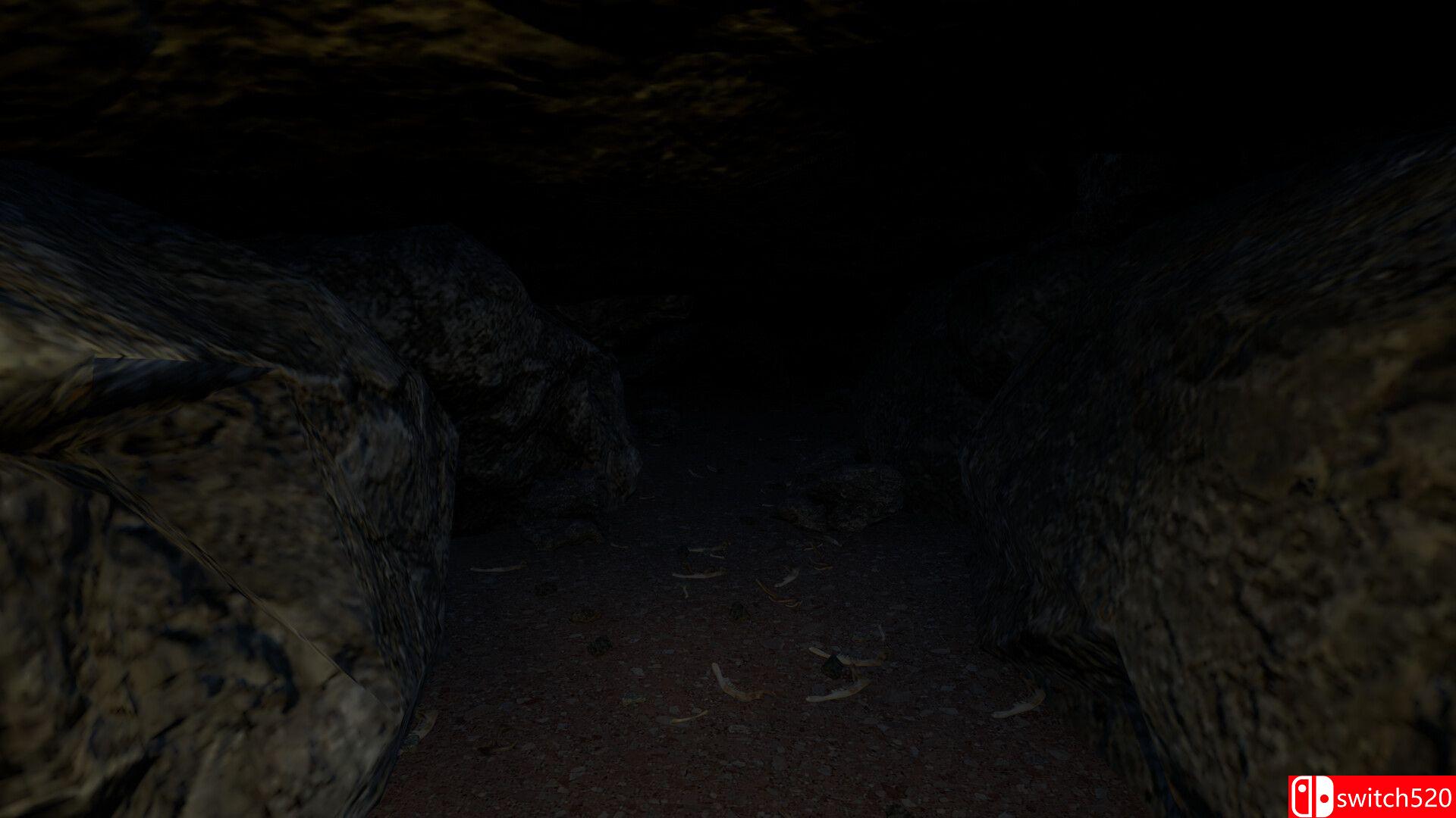 《恐怖露营》游戏截图4