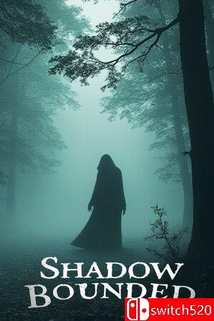 《影域封锁（Shadow Bounded）》游戏封面