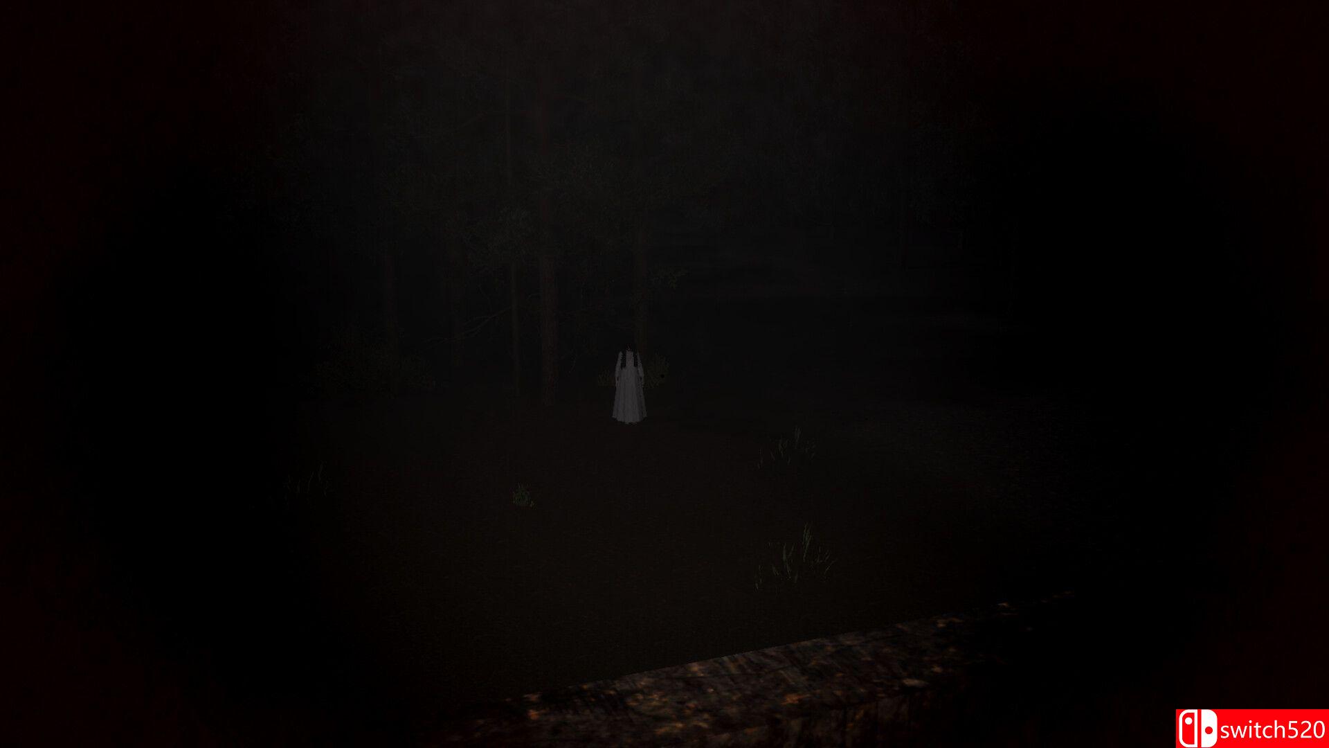 《夜班警戒（Nightwatch: Closer）》TENOKE镜像版[EN/JP]_3