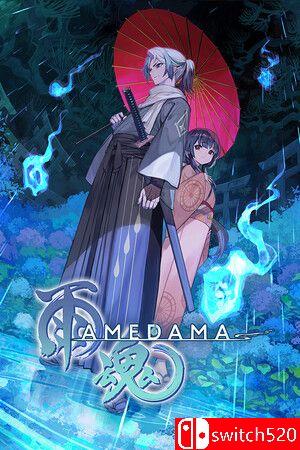 《雨魂（AMEDAMA）》官方中文版游戏封面