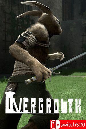 《过度生长（Overgrowth）》v3450449 P2P硬盘版[EN]