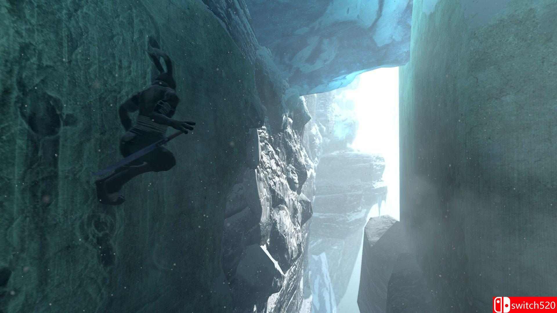 《过度生长（Overgrowth）》v3450449 P2P硬盘版[EN]_5