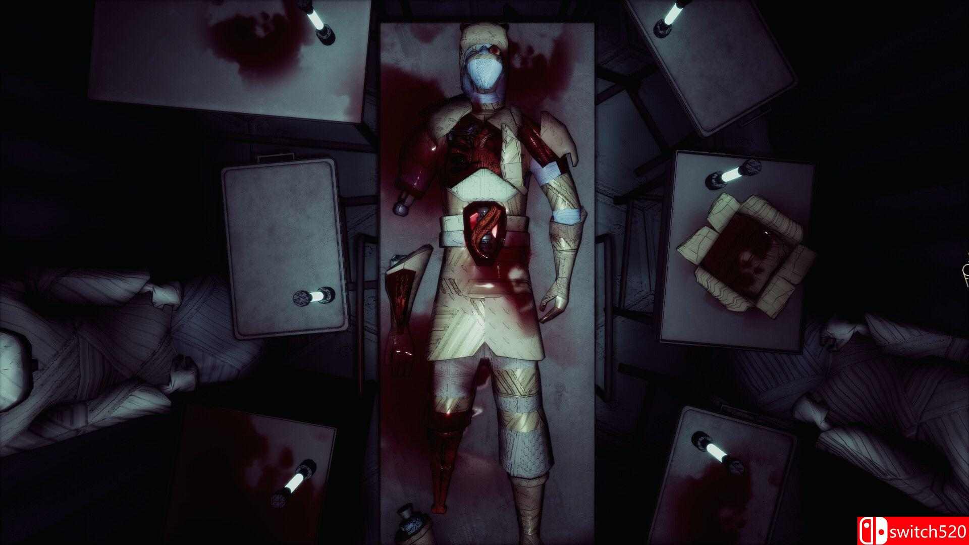 《哀生者（Mourn-born）》TENOKE镜像版[EN]_3