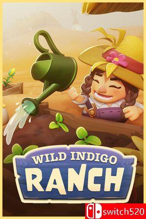 《野靛花农场》游戏封面