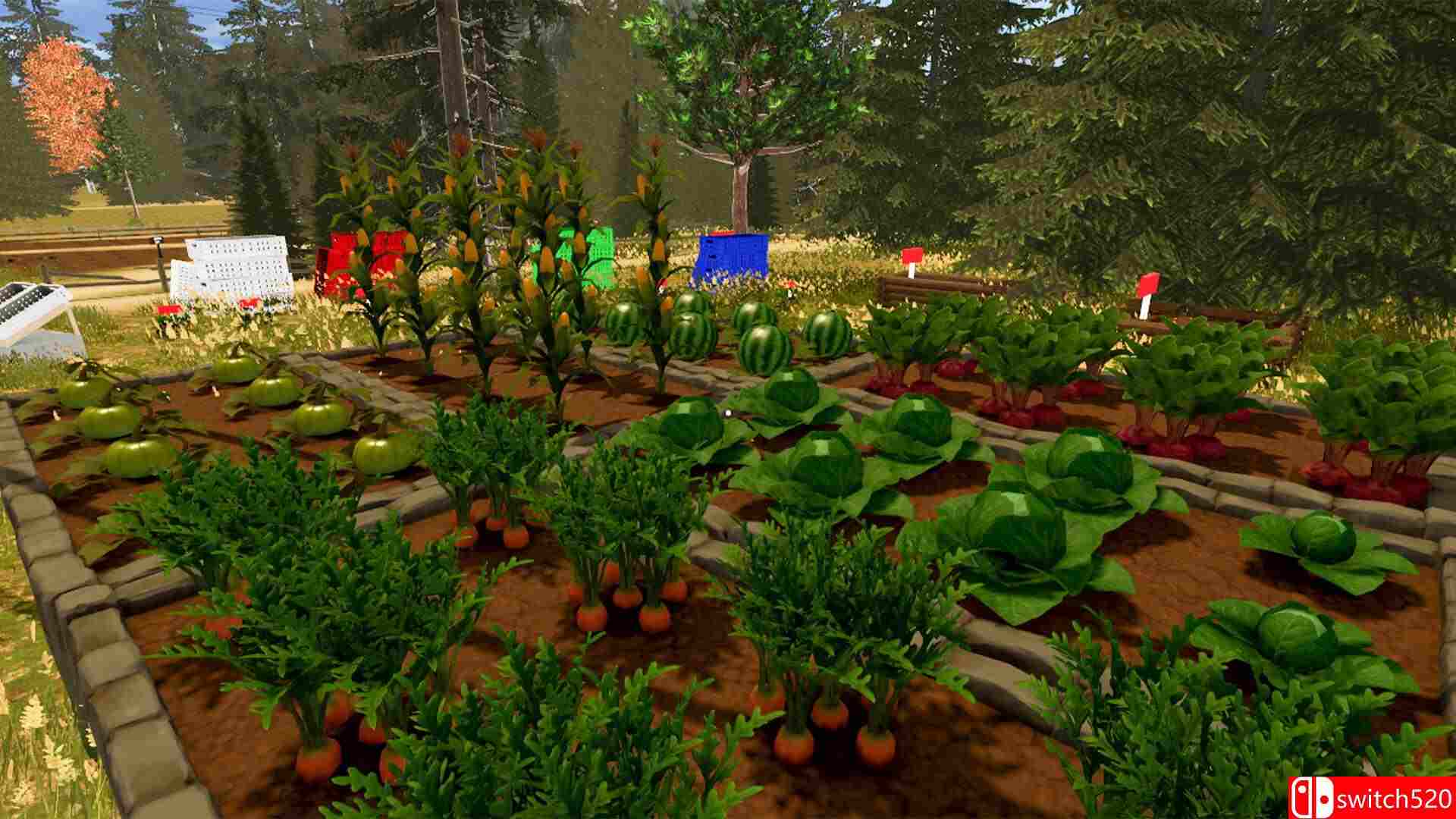 《乡村生活模拟器》游戏截图4