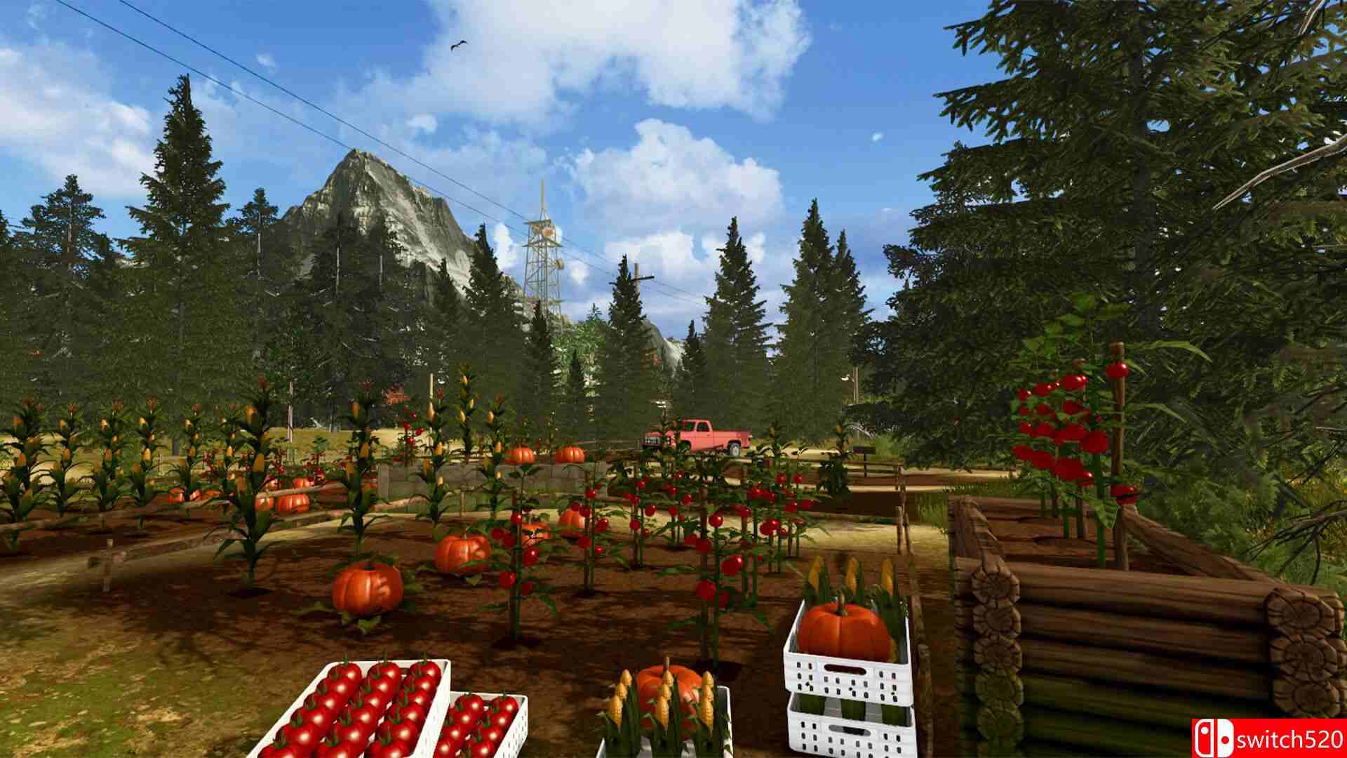 《乡村生活模拟器》游戏截图2