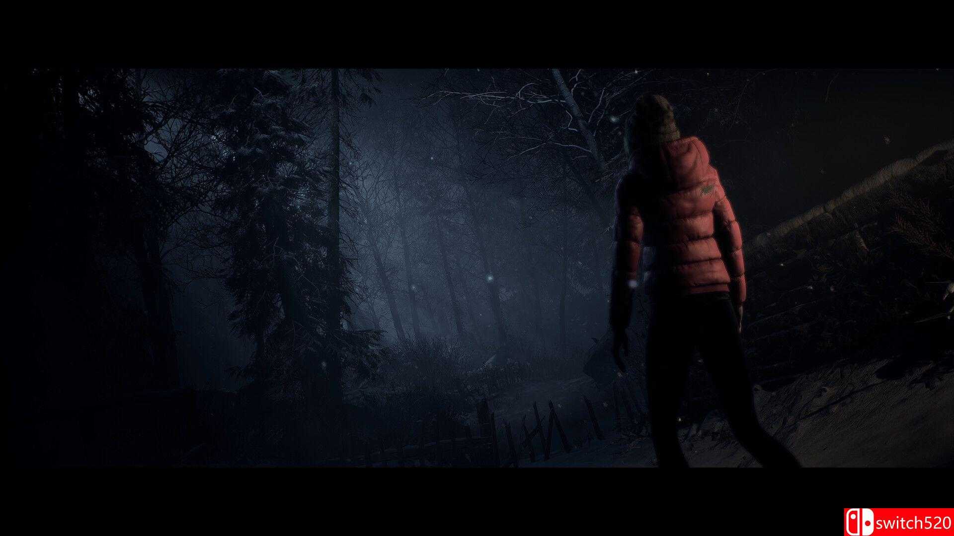 《直到黎明》游戏截图4