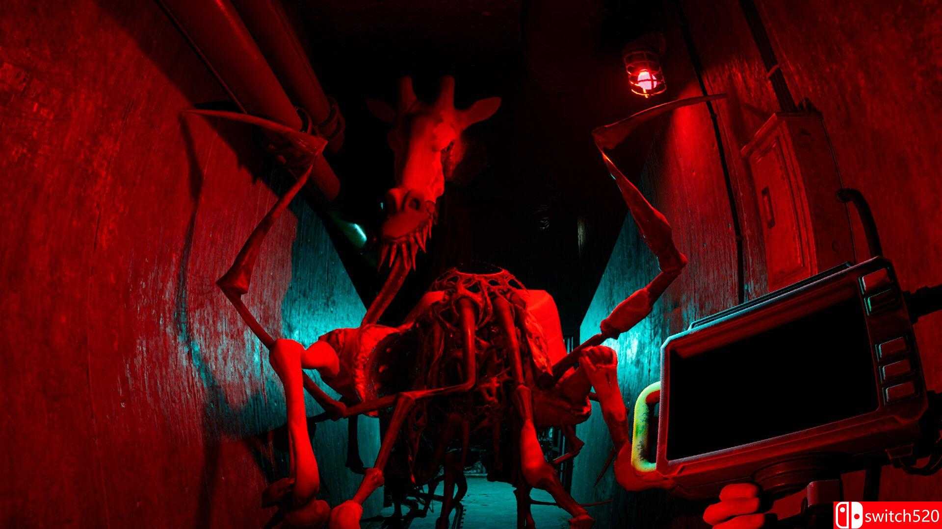 《癫狂动物园》游戏截图1