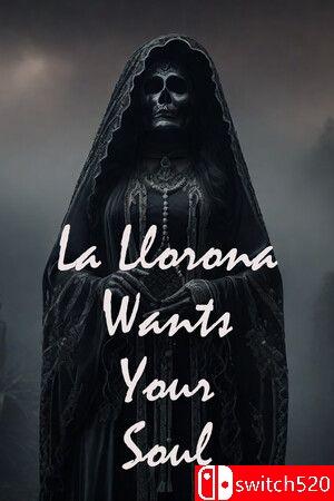 《哭泣女鬼：灵魂索命》游戏封面