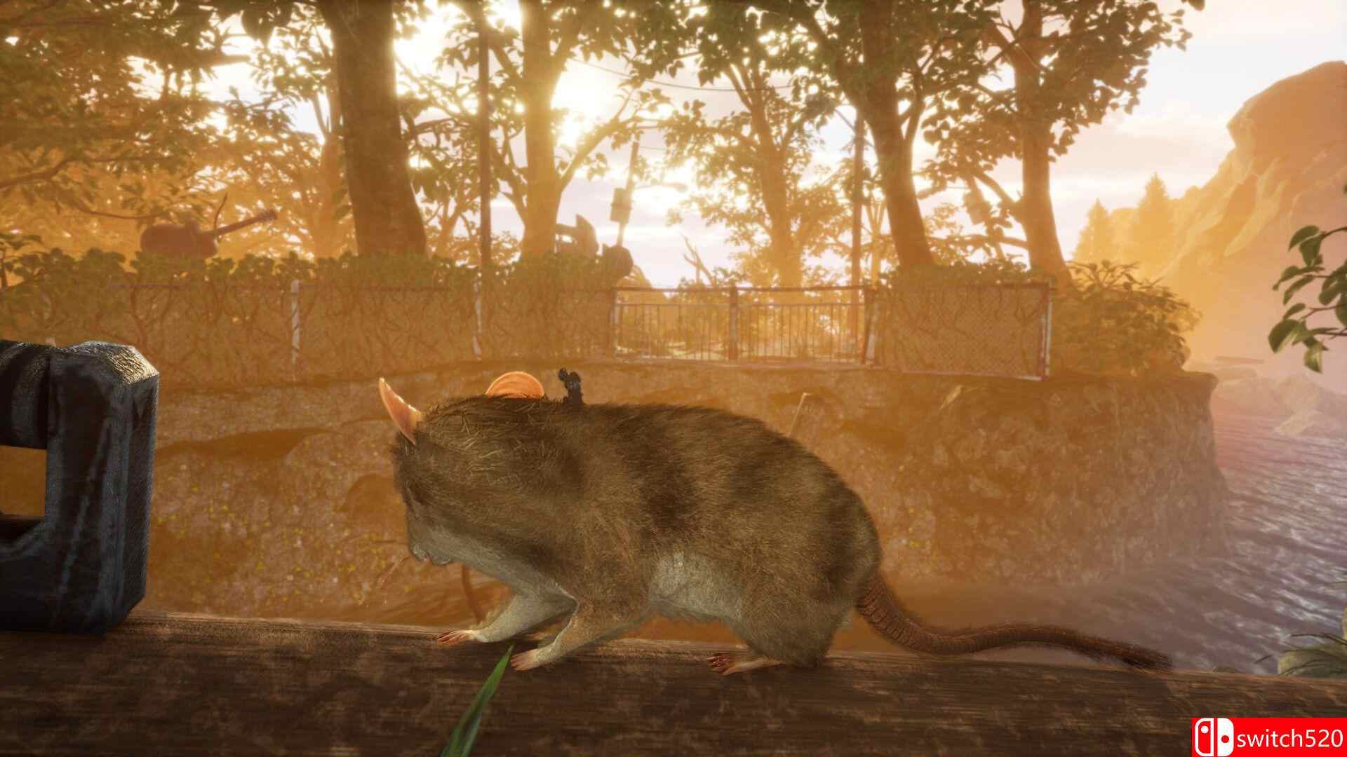 《小小世界：原野求生》游戏截图2