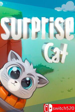 《惊喜猫（Surprise Cat）》游戏封面