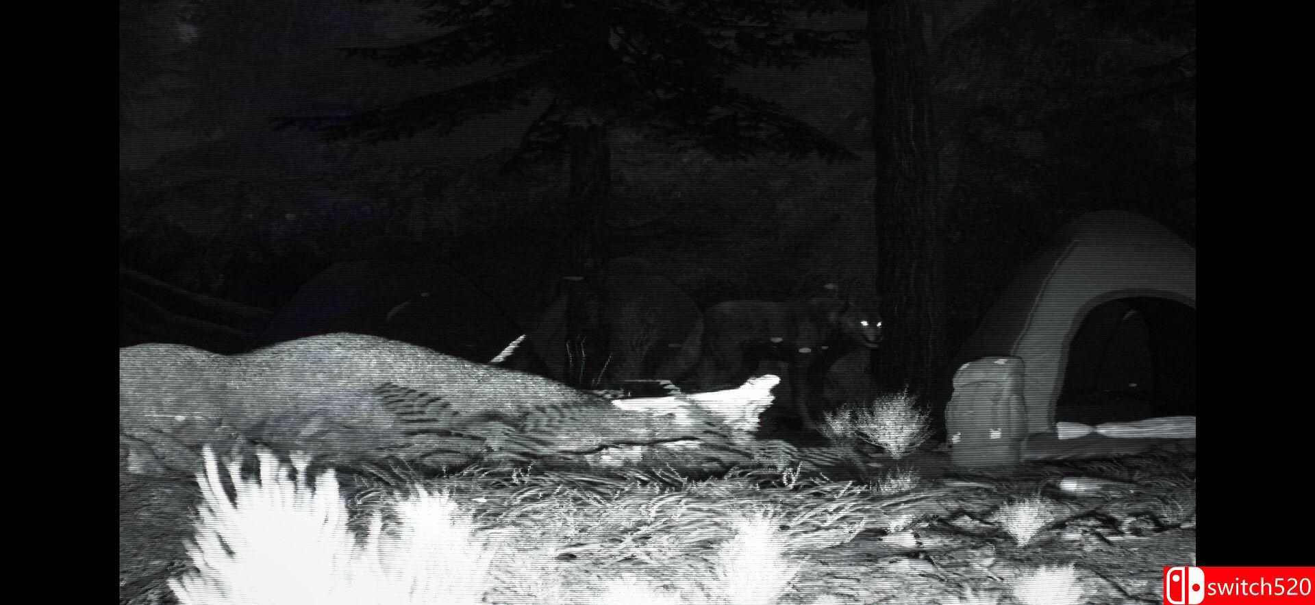 《野外监控（TRAILCAM）》TiNYiSO镜像版[EN]_2