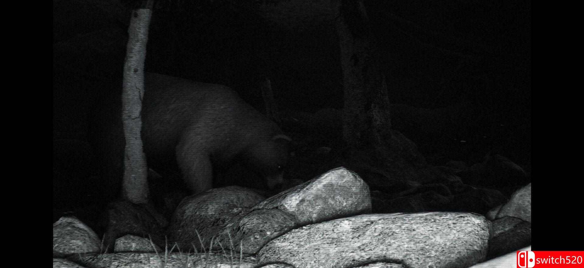 《野外监控（TRAILCAM）》TiNYiSO镜像版[EN]_3